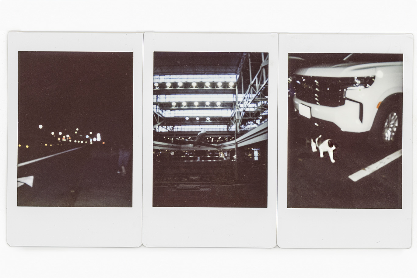 Set of three scanned polaroid photos showing images taken at night of a road, an airplane and a cat.
