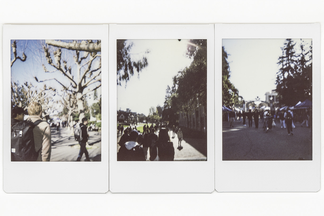 Set of three scanned polaroid photos showing scenes with students from the UC Berkley campus.