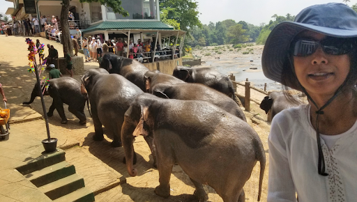 The Fulbright Scholar Experience: Lessons from Sri Lanka