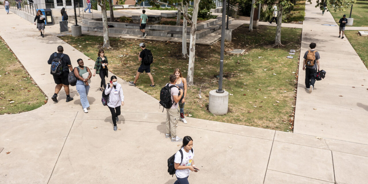 Scholarship Success: Free Money for Your Education