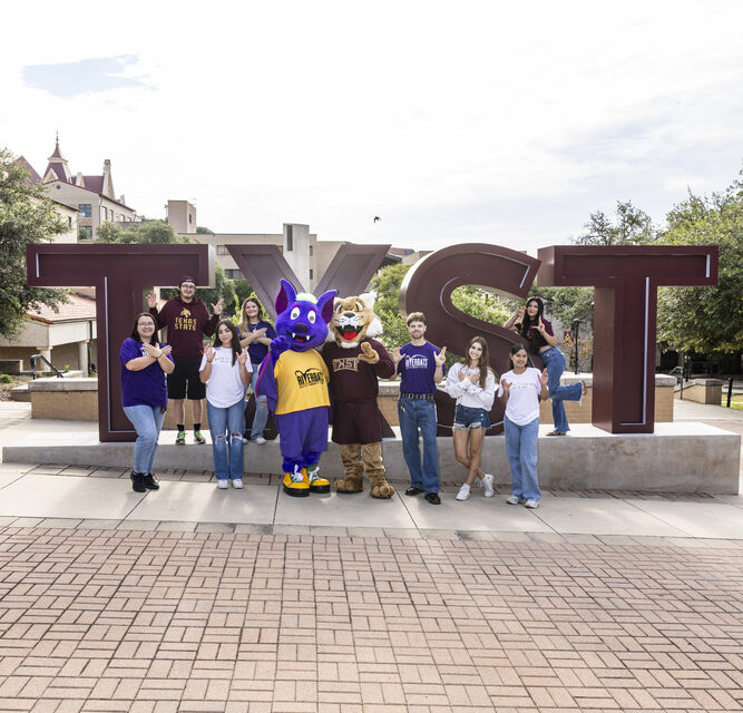 The Bats to Cats Application is officially open!