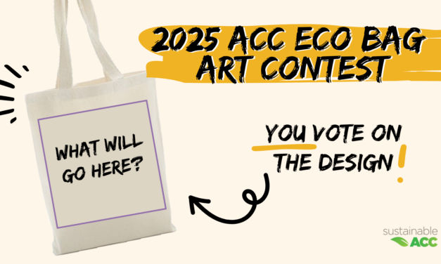 Cast Your Vote for the 2025 Eco Bag Design!