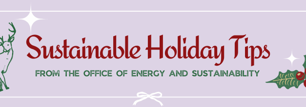 ACC Experts: Celebrate the Holiday Season Sustainably